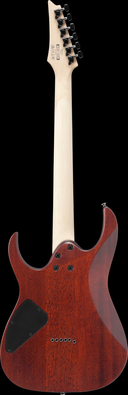 Ibanez RG Standard 6 String Electric Guitar - Sea Shore Matte (RG421SSEM) | Musician Madness