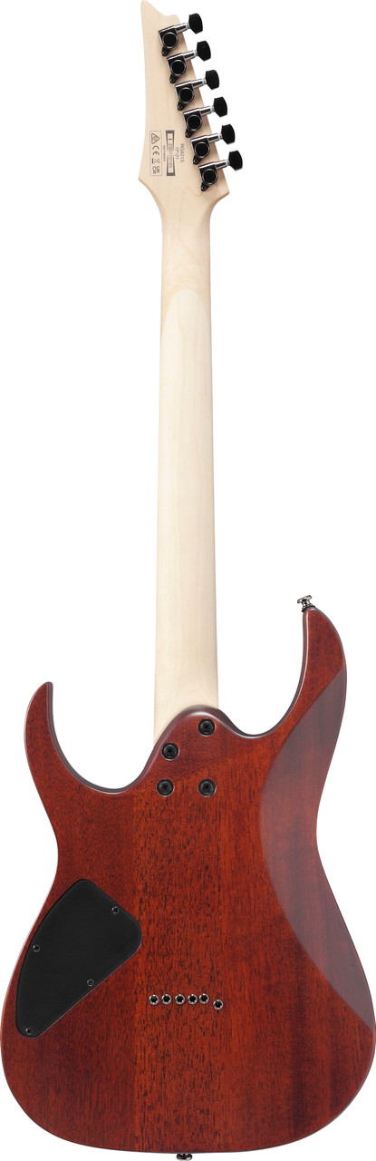 Ibanez RG Standard 6 String Electric Guitar - Sea Shore Matte (RG421SSEM) | Musician Madness