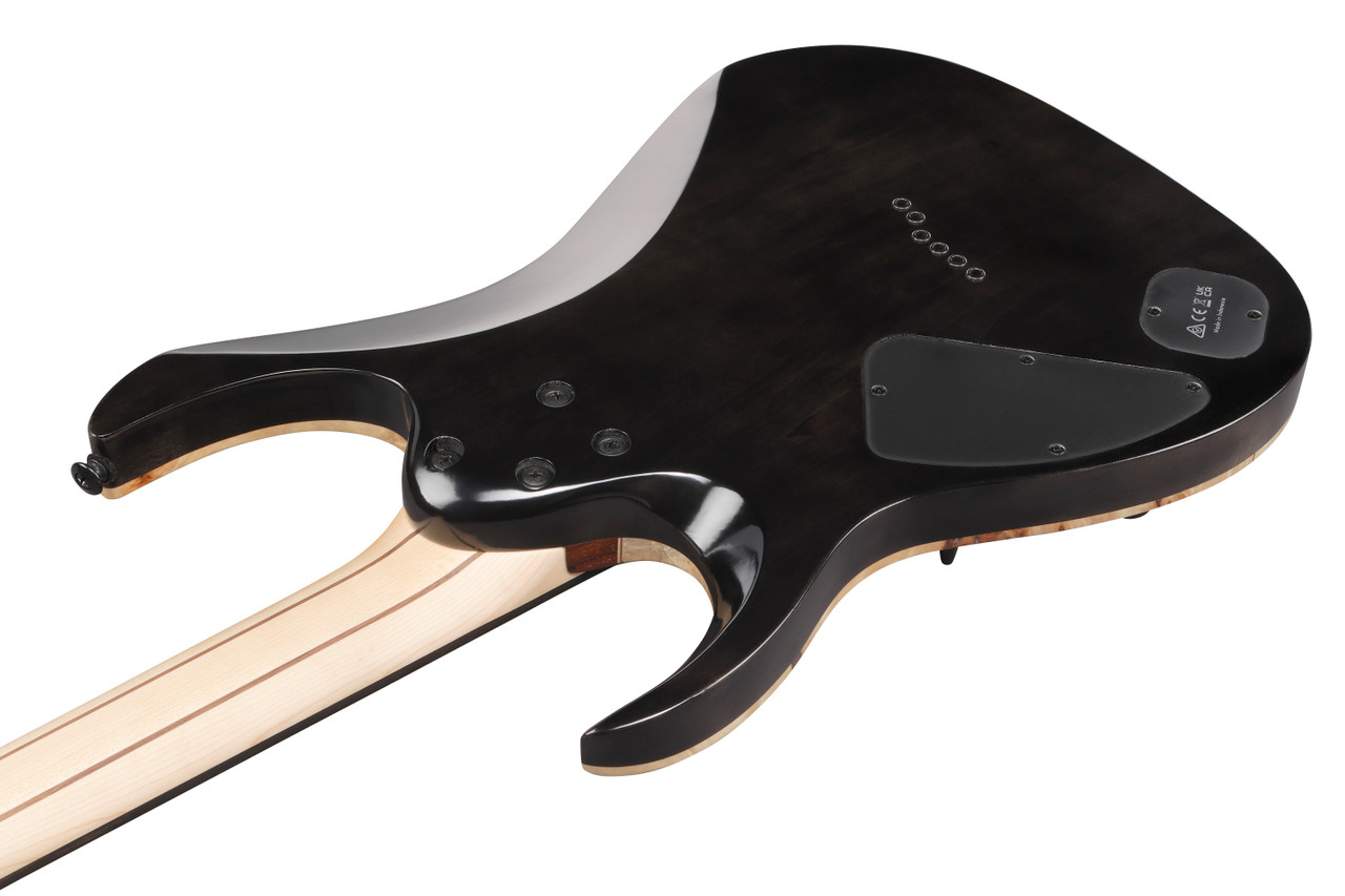 Ibanez RGA Premium 6 String Electric Guitar w/ Bag - Deep Twilight Burst Low Gloss (RGA21P1PBDRL) | Musician Madness