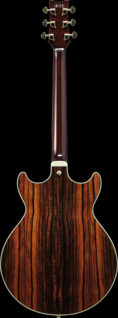 Ibanez AM Artcore Expressionist 6 String Electric Guitar - Natural (AM93MENT) | Musician Madness