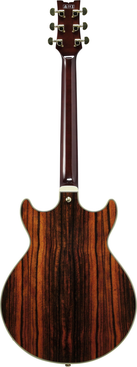 Ibanez AM Artcore Expressionist 6 String Electric Guitar - Natural (AM93MENT) | Musician Madness