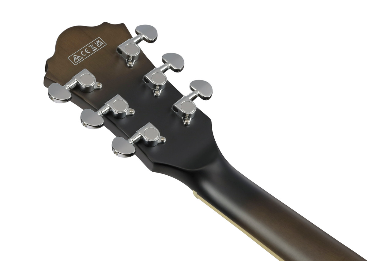 Ibanez AS Artcore 6 String Electric Guitar  - Transparent Black Flat (AS53TKF)