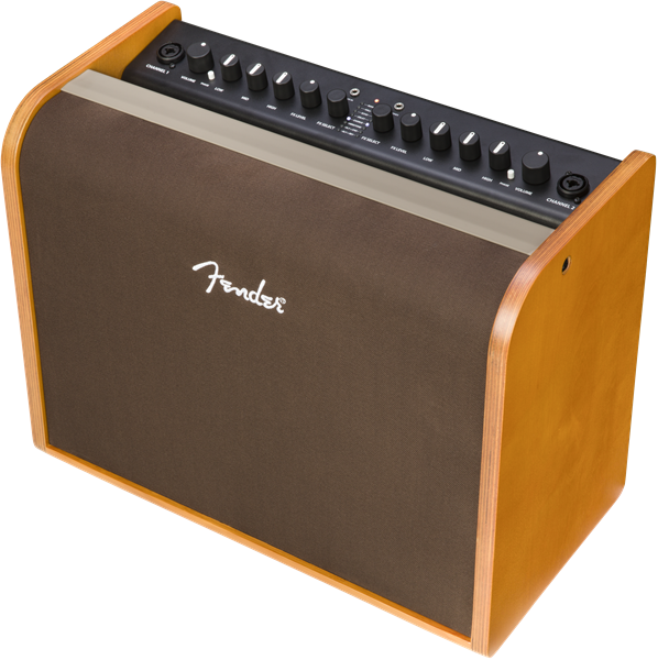Fender Acoustic 100 | Musician Madness