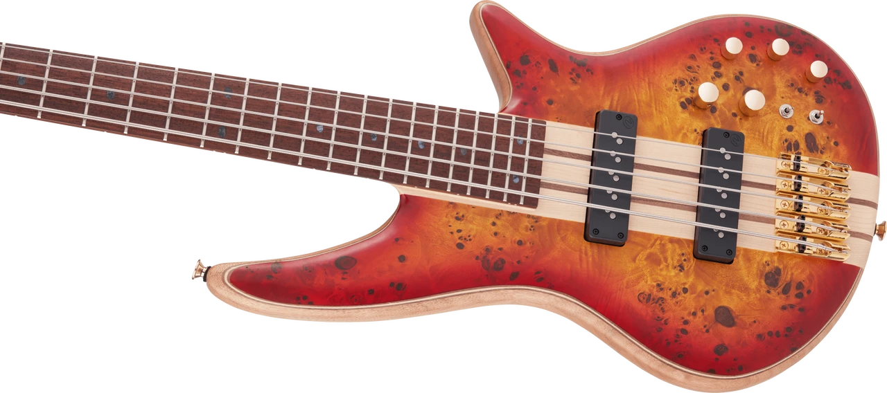 Jackson Pro Series Spectra Bass SBP V - Caramelized Jatoba Fingerboard - Transparent Cherry Burst | Musician Madness