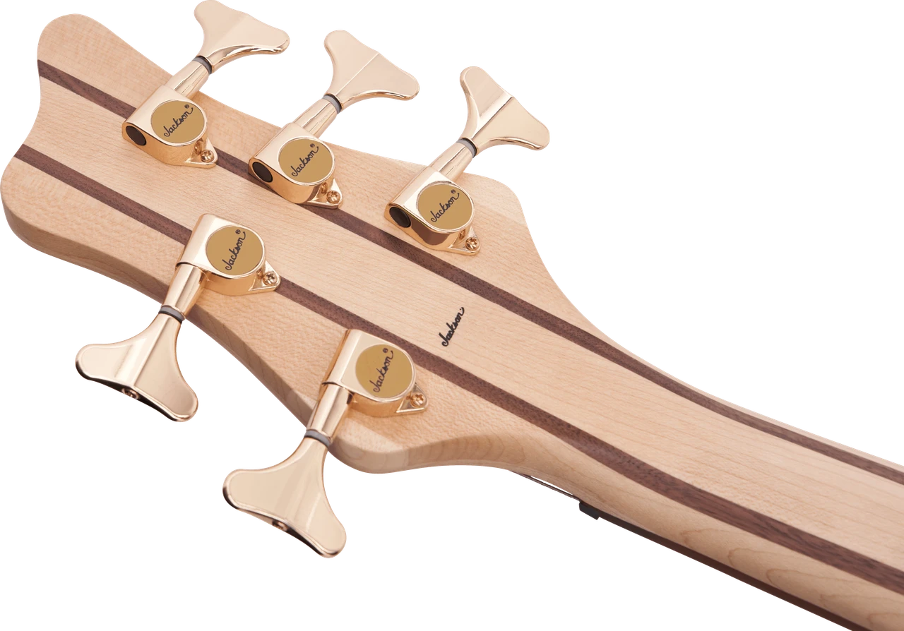 Jackson Pro Series Spectra Bass SBP V - Caramelized Jatoba Fingerboard - Transparent Cherry Burst | Musician Madness