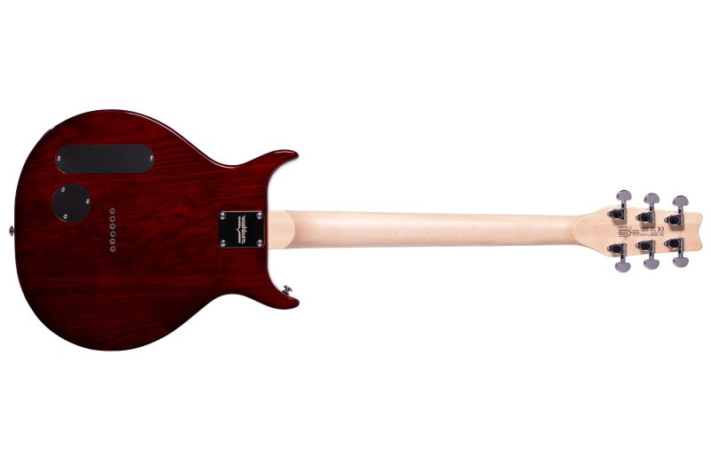Washburn R5TS Wing Series Raven Electric Guitar. Tobacco Sunburst (R5TS-U) | Musician Madness