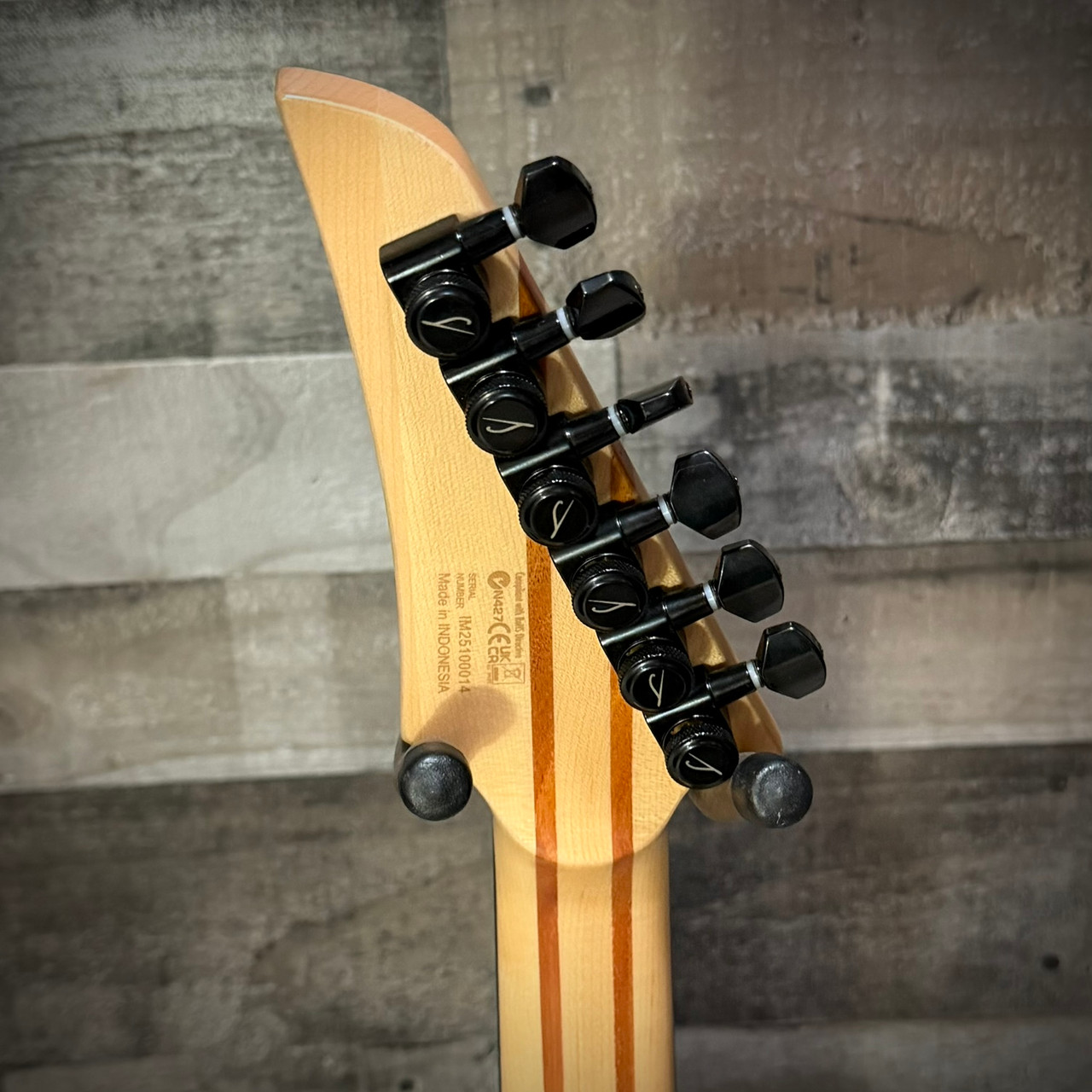 Legator N300 Pro Electric Guitar - Death Valley