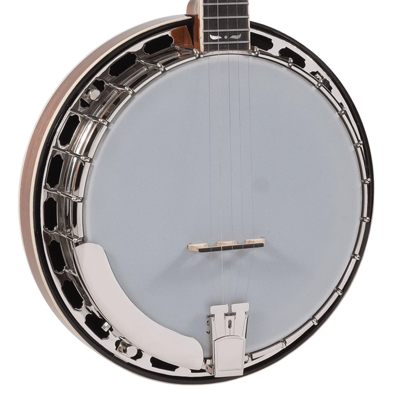 Recording King Madison Tone Ring Banjo - Mahog | Musician Madness