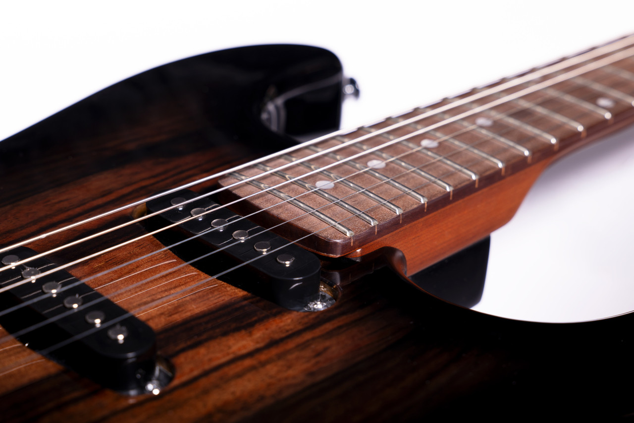 Washburn Sonamaster Elite Double Cutaway Electric Guitar - Striped Ebony (SE3SEN-U) | Musician Madness