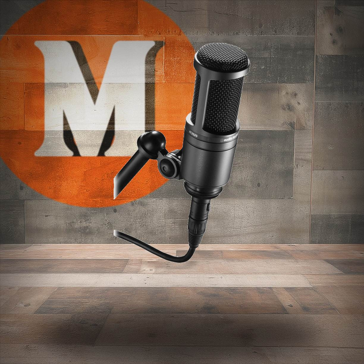 Audio-Technica AT2020 Cardioid Condenser Microphone (AT2020-U) | Musician Madness
