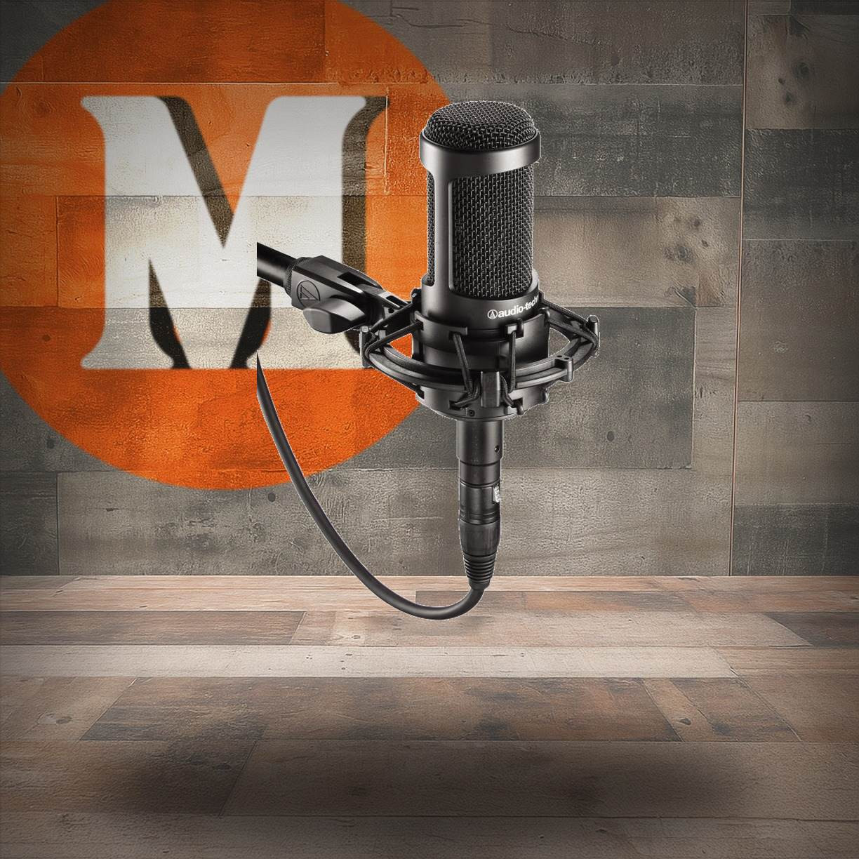 Audio-Technica AT2035 Cardioid Condenser Microphone (AT2035-U) | Musician Madness