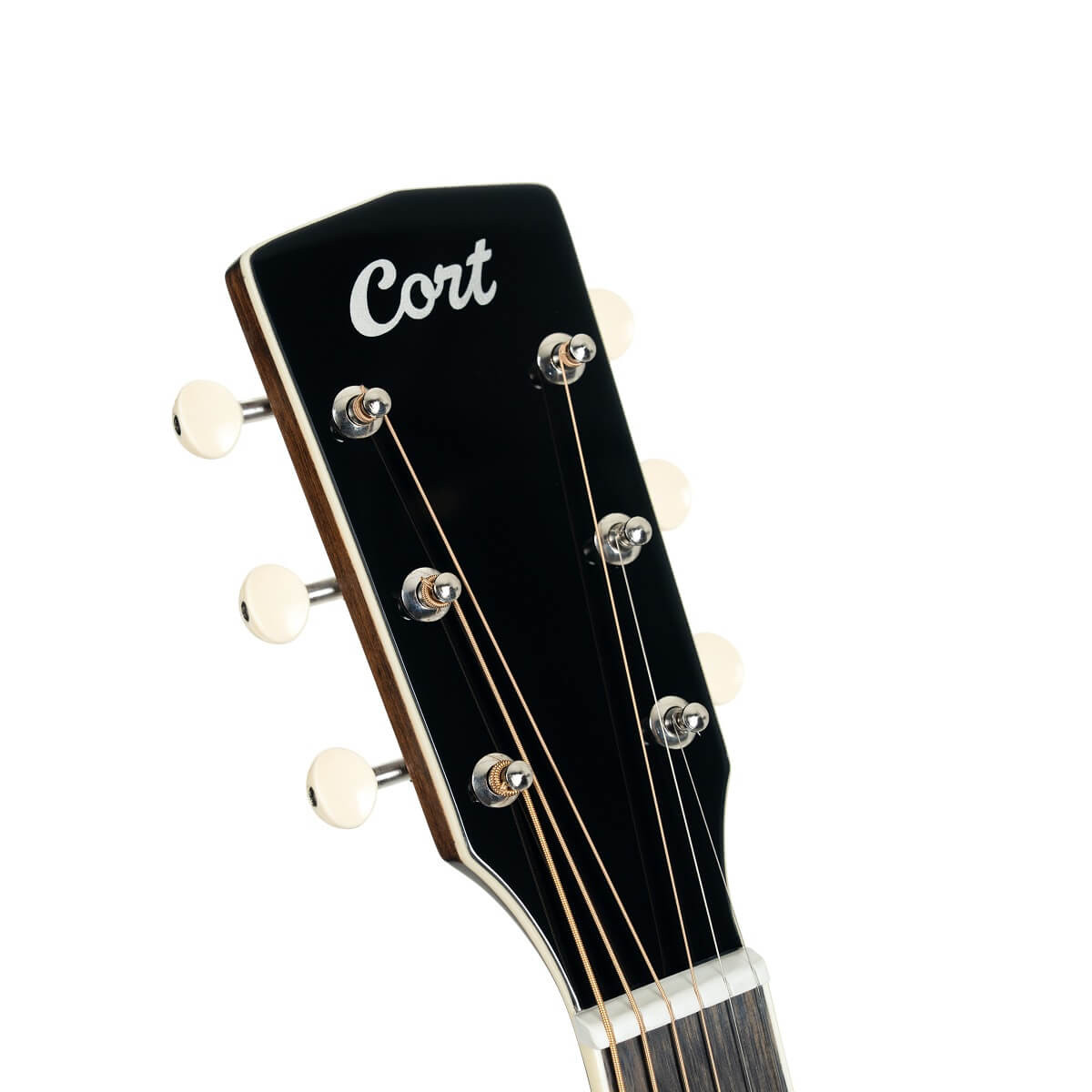 Cort Exotic Series SFX Myrtle Acoustic Electric Guitar - Sunburst Finish (EXOTICSFXMYRTLESS-U) | Musician Madness