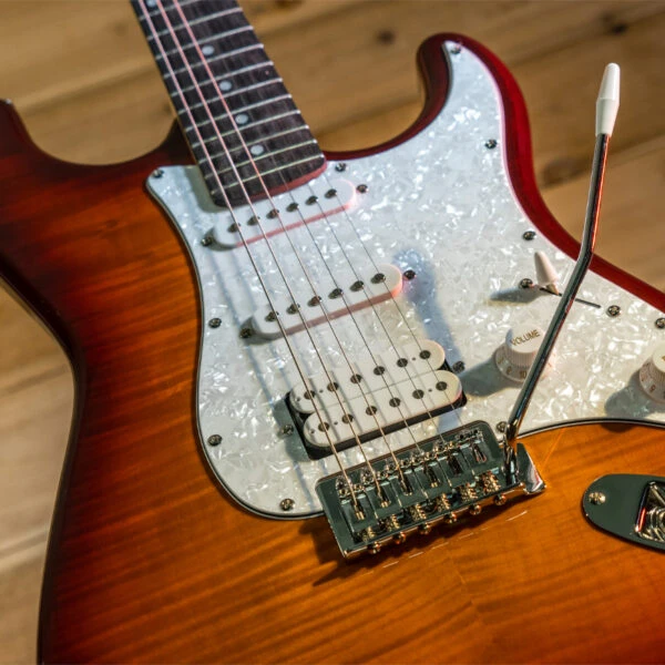 Washburn SDFSB Deluxe Electric Guitar (SDFSB) | Musician Madness