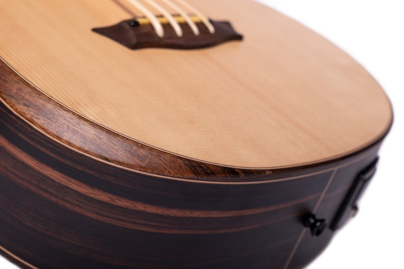 Washburn WCBM15SEK Mini Comfort Bass (WCBM15SEK-U) | Musician Madness