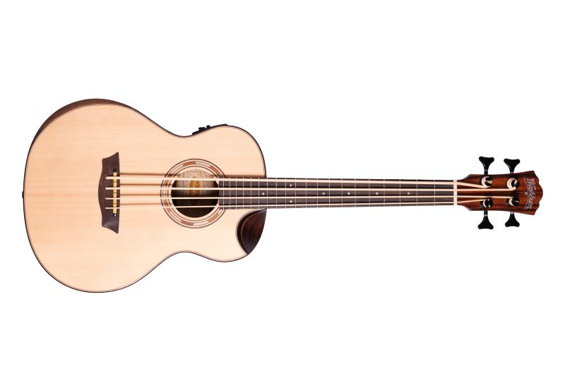 Washburn WCBM15SEK Mini Comfort Bass (WCBM15SEK-U) | Musician Madness