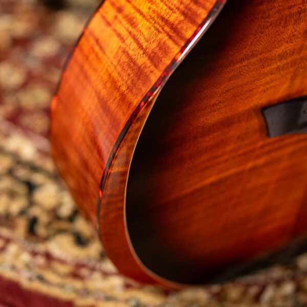 WCG12FCE (WCG12FCE) | Musician Madness