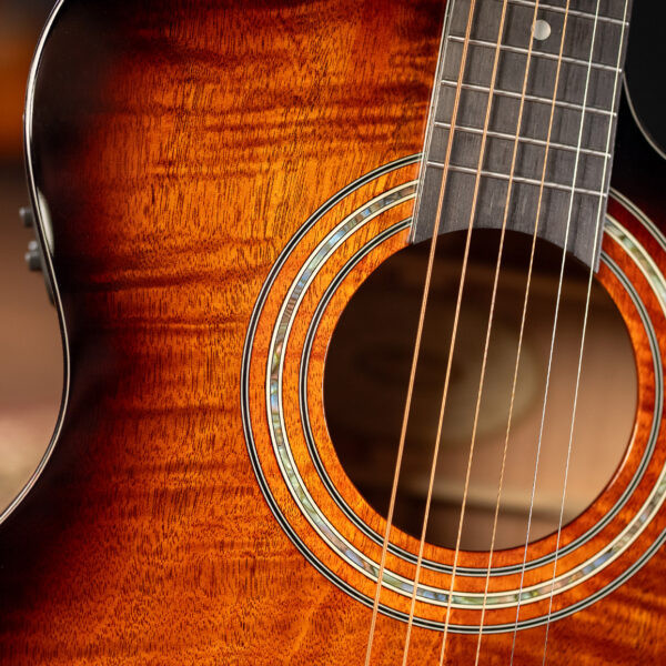 WCG12FCE (WCG12FCE) | Musician Madness