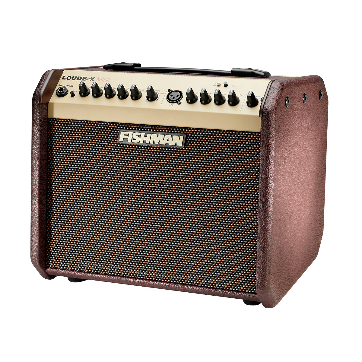 Fishman Loudbox Mini BT 60-watt 1 x 6.5-inch Acoustic Guitar Amplifier (PRO-LBT-500) | Musician Madness