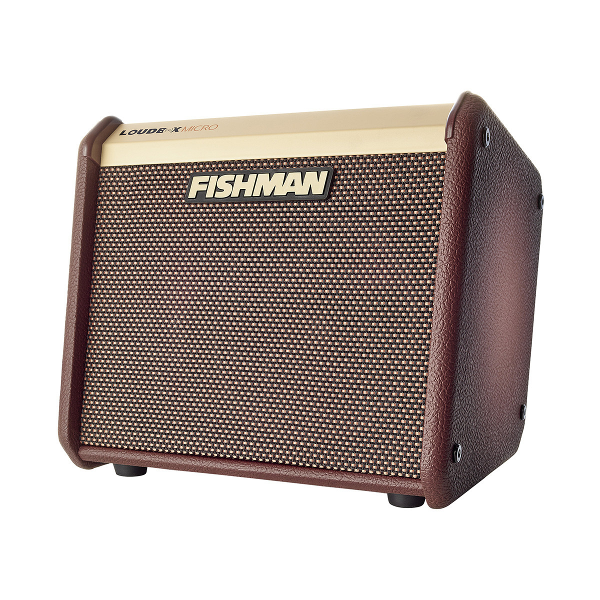 Fishman Loudbox Micro 40-watt 1 x 5.25-inch Acoustic Guitar Amplifier (PRO-LBT-400) | Musician Madness