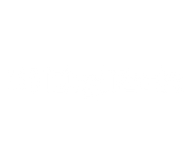 DigiTech
