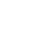 Squier