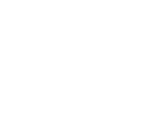 Fender