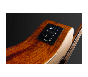 Acoustic Amp/Effects