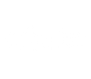 Schecter Schecter