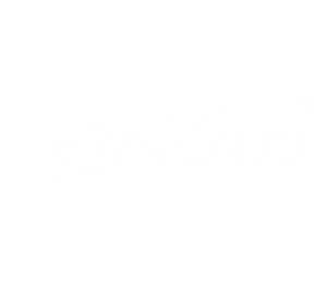 Otto Link