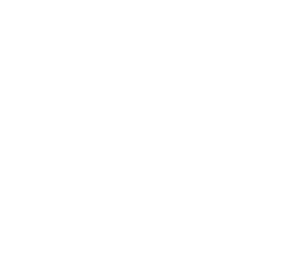 Toca Percussion