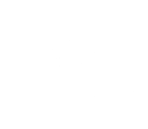 Electro Harmonix