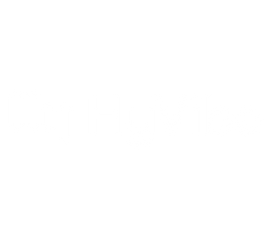 HyVibe