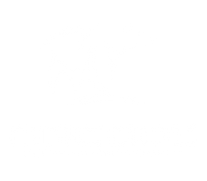 Mr. Cool A/C