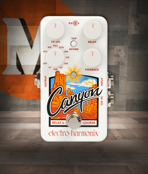 Electro-Harmonix Canyon Delay & Looper (CANYON) | Musician Madness | Musician Madness