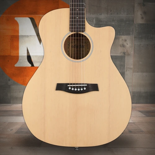 Schecter Deluxe Acoustic Guitar - Natural Satin (3715)