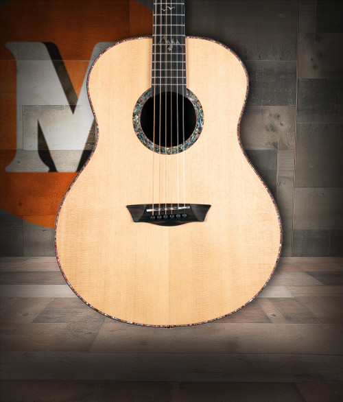 Washburn Elegante S24S Bella Tono Studio Acoustic Guitar in gloss natural finish featuring spruce top, pau ferro back and sides, and elegant body design for balanced studio tone.