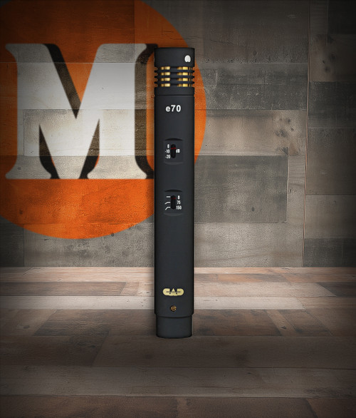 CAD Audio E70 Modular Dual Capsule Condenser Microphone (E70)