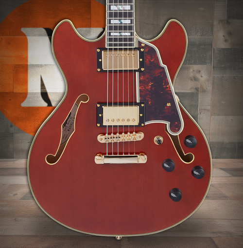 D'Angelico Excel Mini DC - Viola (DAEMINIDCVIOGS) featuring compact semi-hollow construction, Seymour Duncan pickups, and a striking Viola finish for expressive, versatile tonal performance.