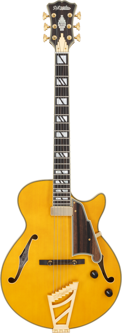 The DÃ¢â‚¬â„¢Angelico Excel SS Thinline Hollow Body (DAESSSAMBGT) features a slim, comfortable single-cutaway design with a warm, resonant hollow-body tone. Its Amber finish highlights classic styling with elegant binding, premium pickups, and gold hardware. Ideal for jazz, blues, R&B, and players seeking vintage sweetness with modern playability.