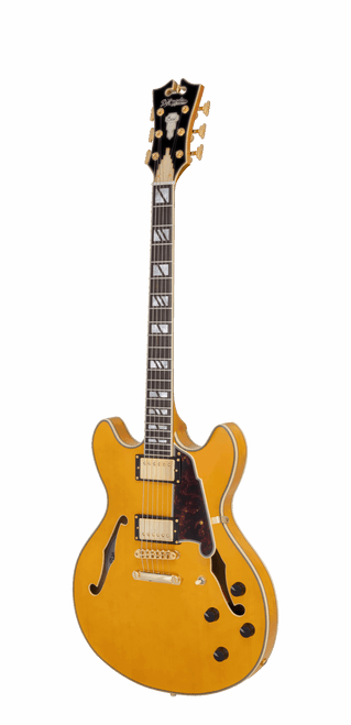 The DÃ¢â‚¬â„¢Angelico DAEDCAMBGS Double Cutaway Electric Guitar features a classic double-cut body paired with a rich Amber finish that highlights its vintage-inspired aesthetics. The stop-bar tailpiece provides excellent sustain and tuning stability, while quality pickups deliver warm, expressive tone suited for multiple genres. Built with DÃ¢â‚¬â„¢AngelicoÃ¢â‚¬â„¢s refined craftsmanship, this guitar offers comfort, versatility, and performance-ready reliability.