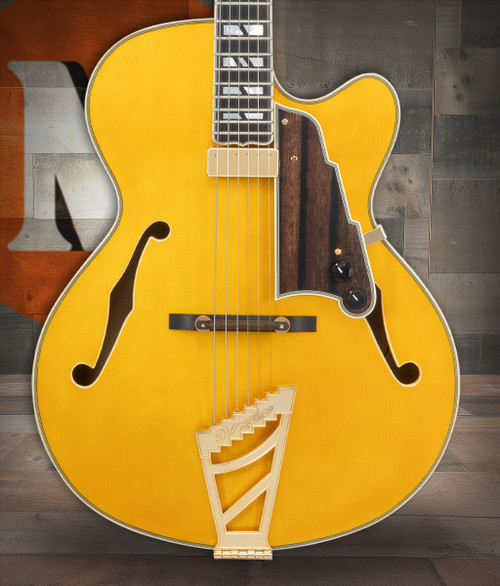 The DÃ¢â‚¬â„¢Angelico Single Cutaway Hollowbody in Amber (DAE16AMBGT) delivers warm jazz tone, classic archtop styling, and includes a fitted case. Available at Musician Madness.