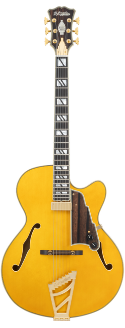 The DÃ¢â‚¬â„¢Angelico Single Cutaway Hollowbody in Amber (DAE16AMBGT) delivers warm jazz tone, classic archtop styling, and includes a fitted case. Available at Musician Madness.