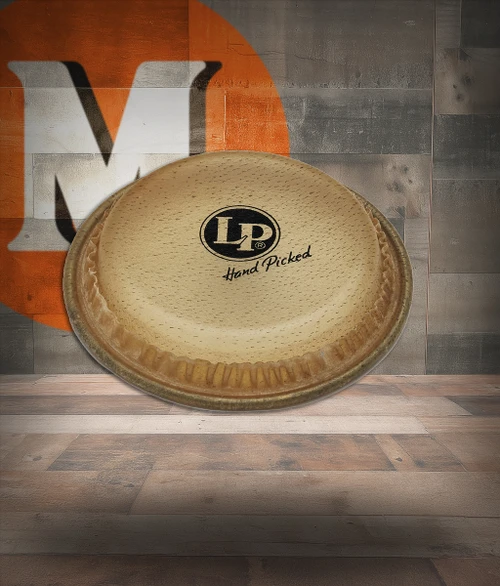 Latin Percussion LP 5" Pre-mounted Head Okonkolo Rawhide (LP495A) | Musician Madness