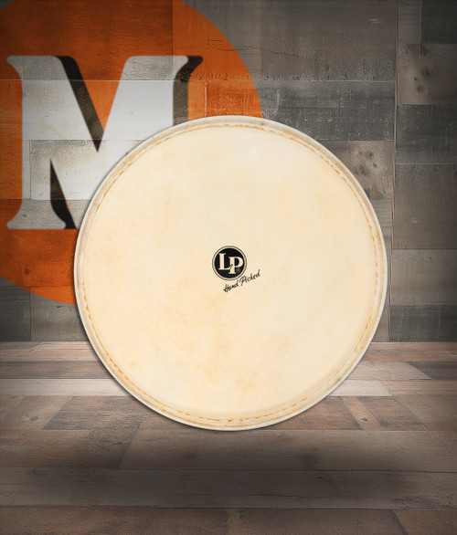 Latin Percussion LP 12 1/2"  Djembe Replacement Head For LP720 (LP961) | Musician Madness