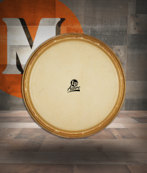 Latin Percussion LP 12" Pre-mounted Head Aspire Rawhide (LPA640C) | Musician Madness