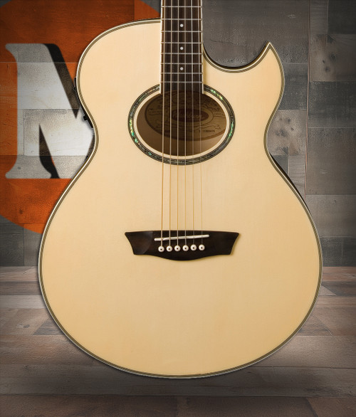 Washburn EA20 Festival Series Cutaway Acoustic Electric Guitar - Natural (EA20-A-U)