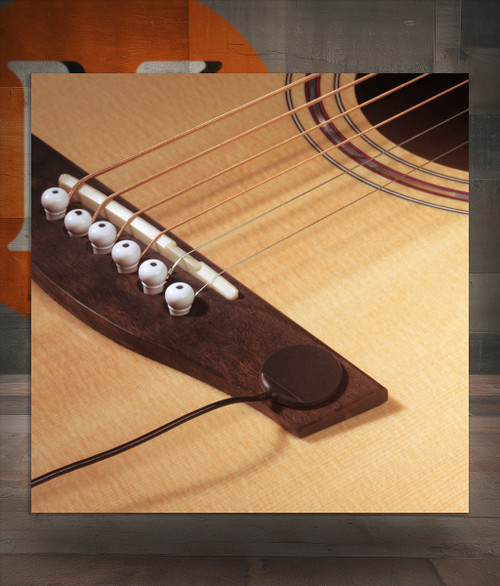 Barcus Berry DISQOS External Mount Soundboard Transducer (DISQOS-U) | Musician Madness