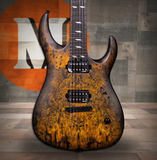 Legator N300 Standard 6 String Electric Guitar (N300-DV)