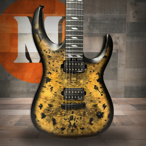 Legator N300 PRO Standard 6 String Electric Guitar (N300-DV)