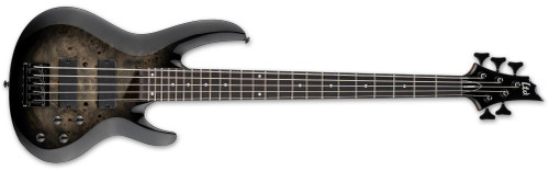 LTD B-205DX - Black Burst (LB205DXBLKB) | Musician Madness